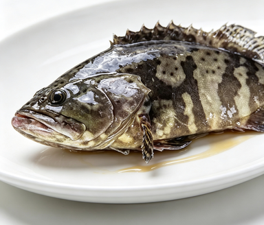 Whole Grouper