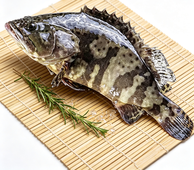 Whole Grouper