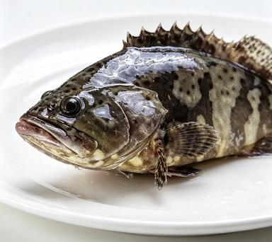 Whole Grouper